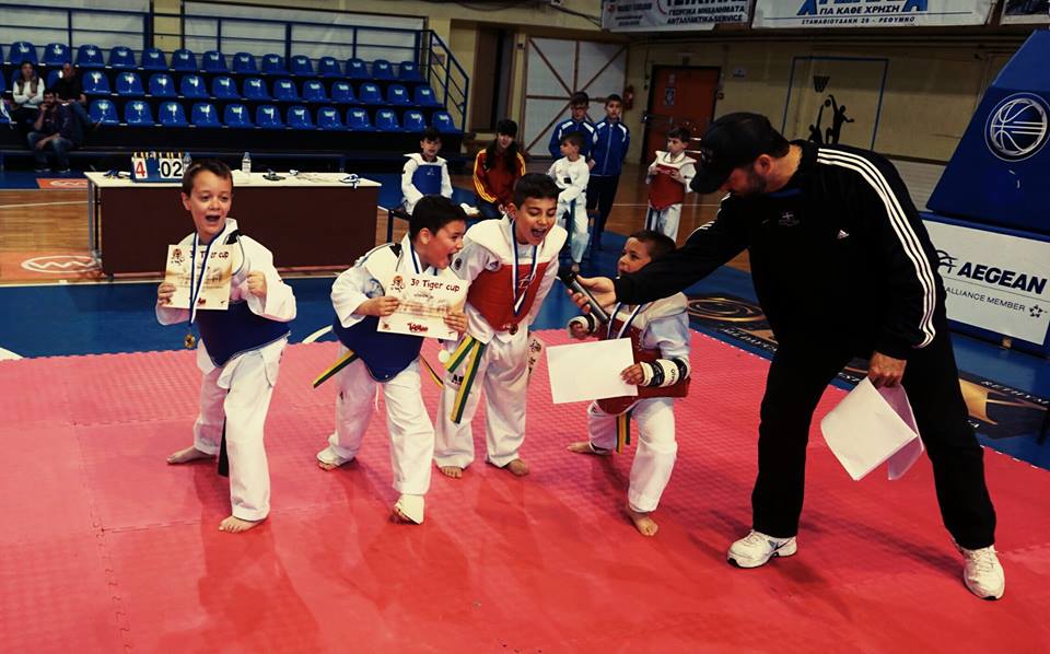 Tiger Cup10