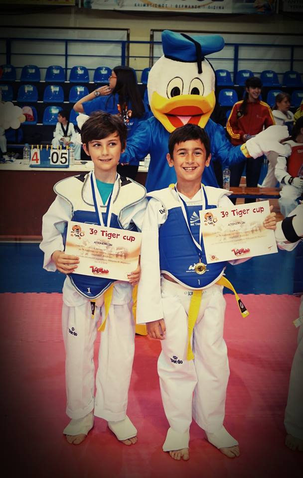 Tiger Cup3